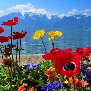 Meet your Posher, Edwin